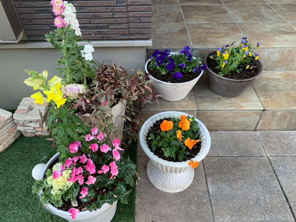 お花が綺麗よ~_e0040673_14224040.jpg