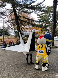 2019 J3: 第33節 vs. いわてグルージャ盛岡_b0004675_1937458.jpg