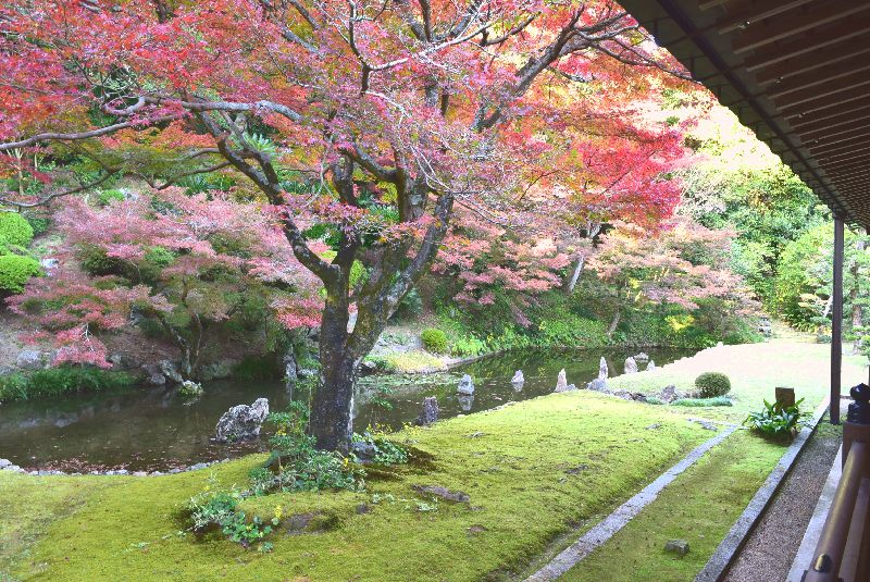 歴史と史跡と紅葉を求めて・・・宇部を探訪 パート3_d0061579_1736558.jpg
