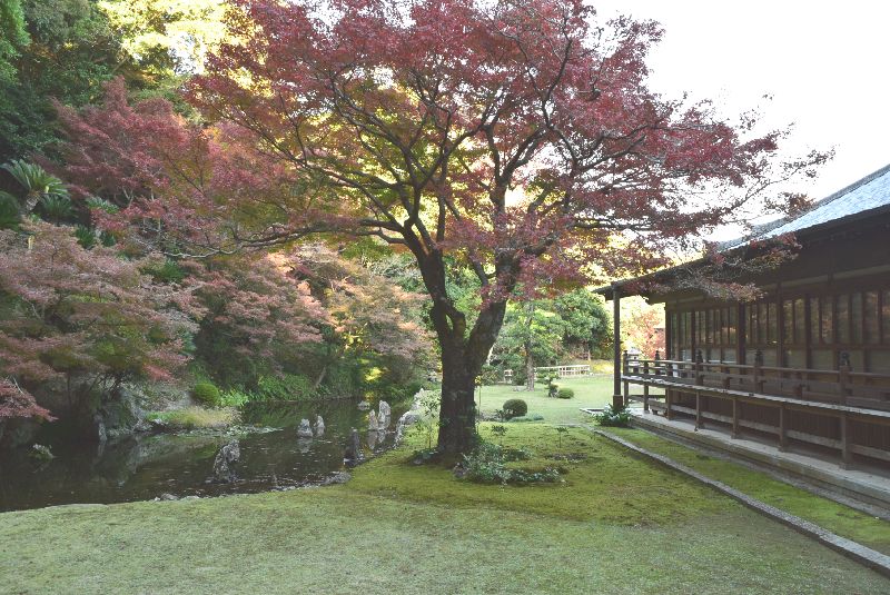 歴史と史跡と紅葉を求めて・・・宇部を探訪 パート3_d0061579_17372555.jpg