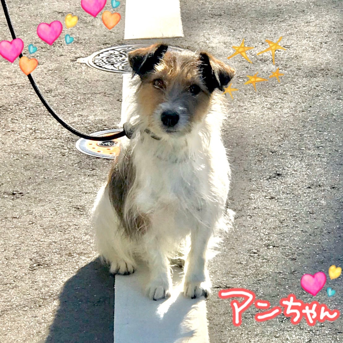 お散歩~🚶_f0357682_05565750.jpeg