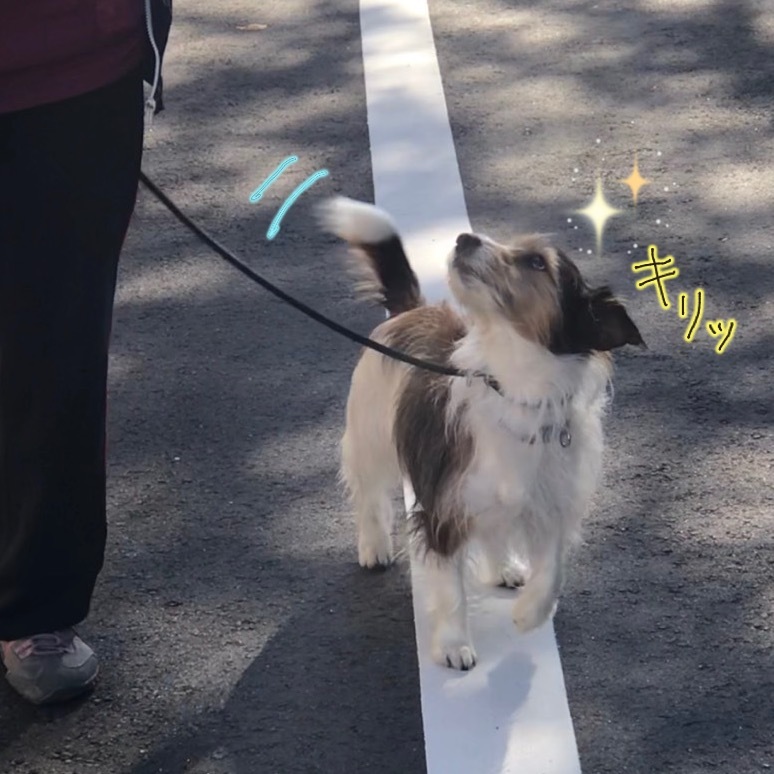 お散歩~🚶_f0357682_05570726.jpeg
