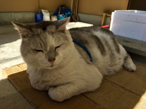 a0258686_20200118.jpeg