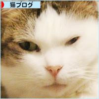 覚えてる?昔懐かしの・・・_a0389088_05444800.jpg