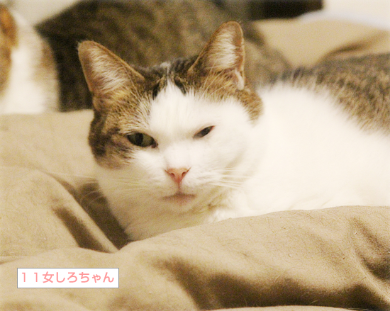 覚えてる?昔懐かしの・・・_a0389088_05444812.jpg
