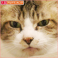 覚えてる?昔懐かしの・・・_a0389088_05444838.jpg