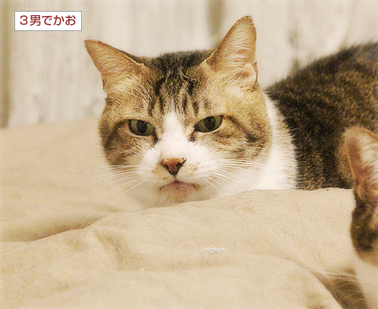 覚えてる?昔懐かしの・・・_a0389088_05444856.jpg