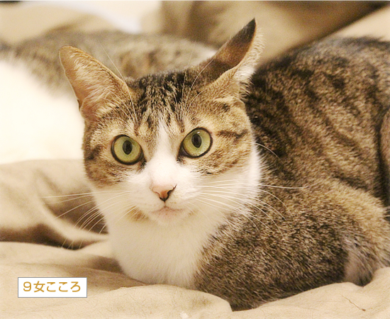 覚えてる?昔懐かしの・・・_a0389088_05444887.jpg