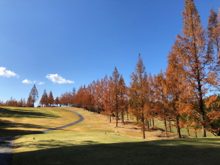 紅葉を愛でに_a0233991_09091229.jpg