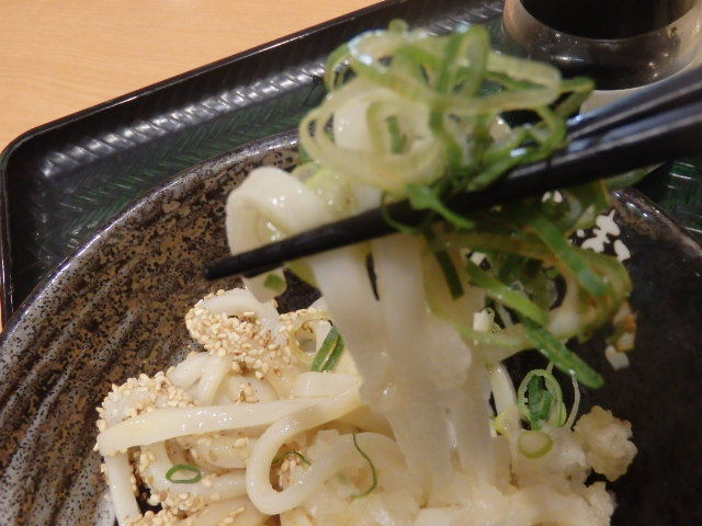 はなまるうどん イオン尼崎店_c0118393_18072516.jpg