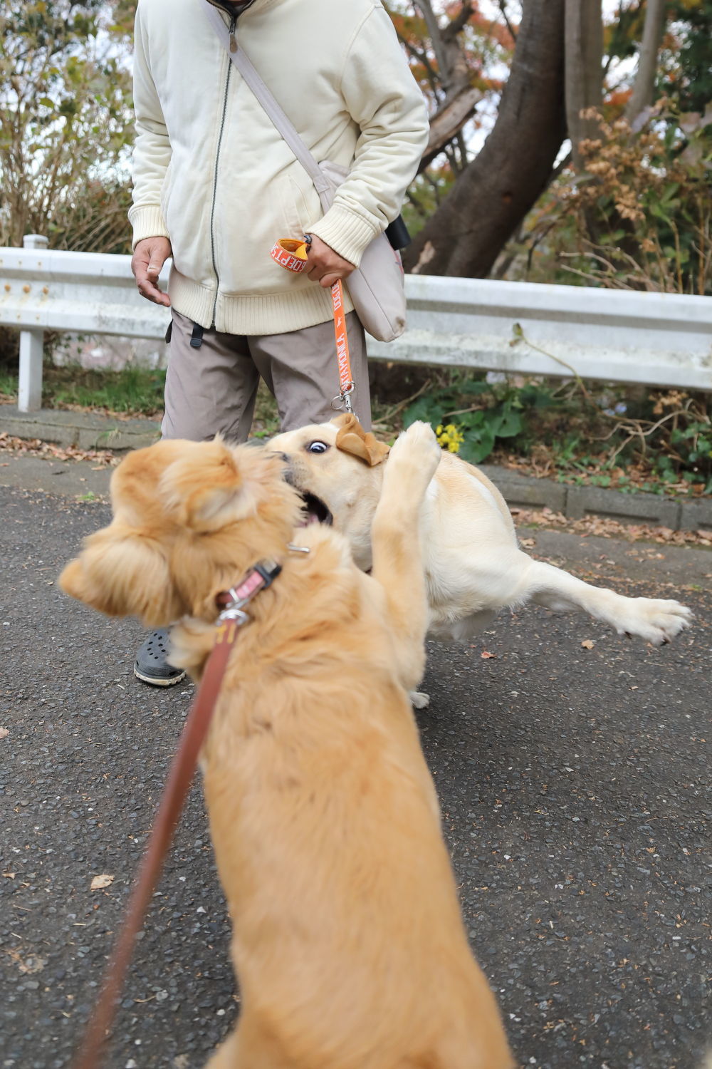 ちょっぴり遠出♪_b0275998_14045252.jpg