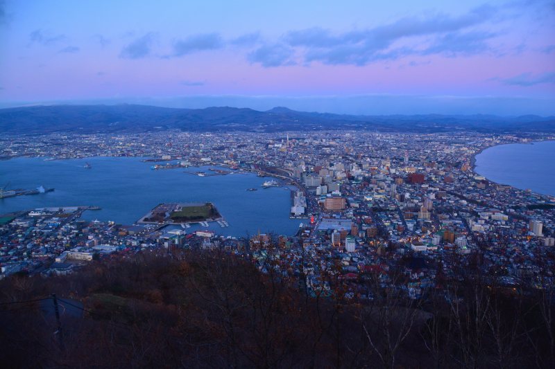 新幹線で北海道へ(2)函館の夜景_a0148206_19550756.jpg