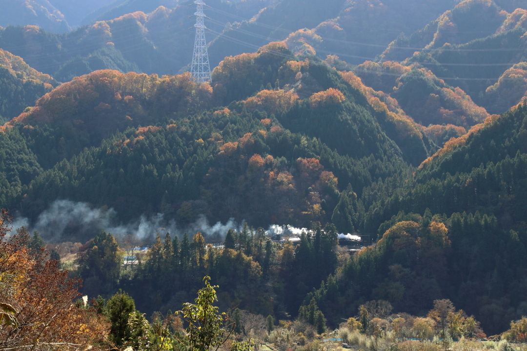 秋の稜線 - 2019年紅葉・秩父鉄道 -_b0190710_22052266.jpg