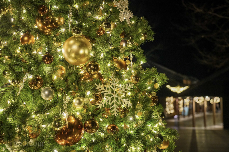 ハルニレテラスのクリスマス きれいの瞬間 写真で伝えるstory