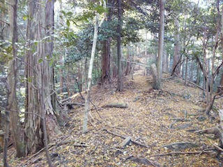 近くて、近くて、そして素敵な…南宮山_c0359615_01044828.jpg