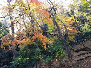近くて、近くて、そして素敵な…南宮山_c0359615_01072371.jpg