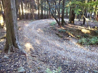 近くて、近くて、そして素敵な…南宮山_c0359615_01073881.jpg