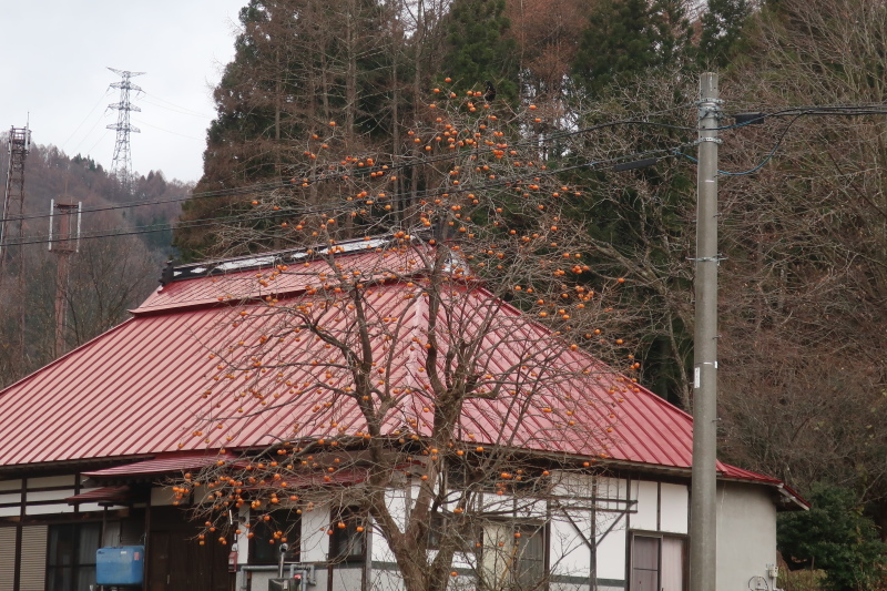 奥会津　昭和村　大芦家さん_b0365019_23173707.jpg