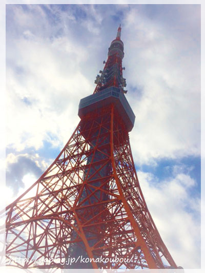 愛しの東京タワー_a0392423_00271332.jpg