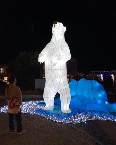 どうぶつイルミネーション。_b0061023_20055466.jpg