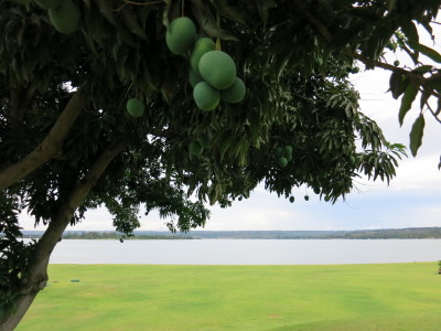 ブラジルの旅’19_e0097130_23164952.jpg