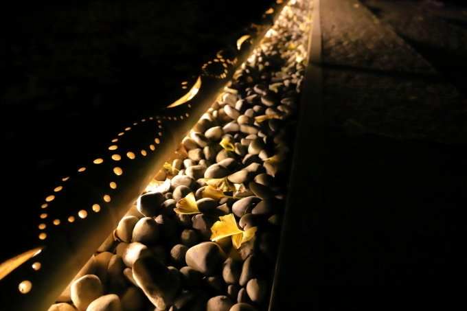 f0348831_20004064.jpg