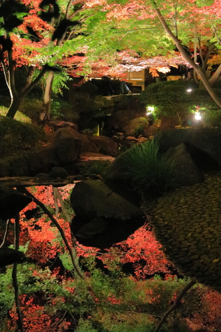 f0348831_20004661.jpg