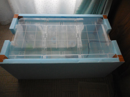 え?屋外無加温だぞ?_e0097534_18494633.jpg