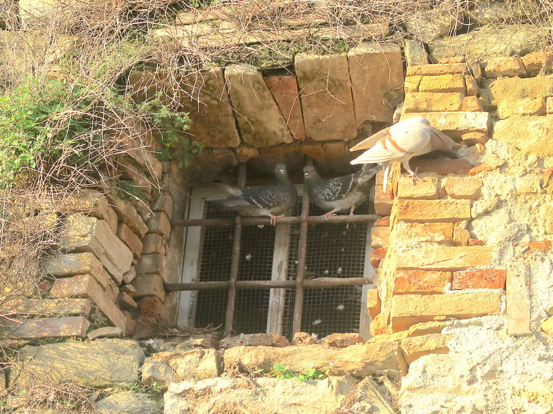 f0234936_7582736.jpg