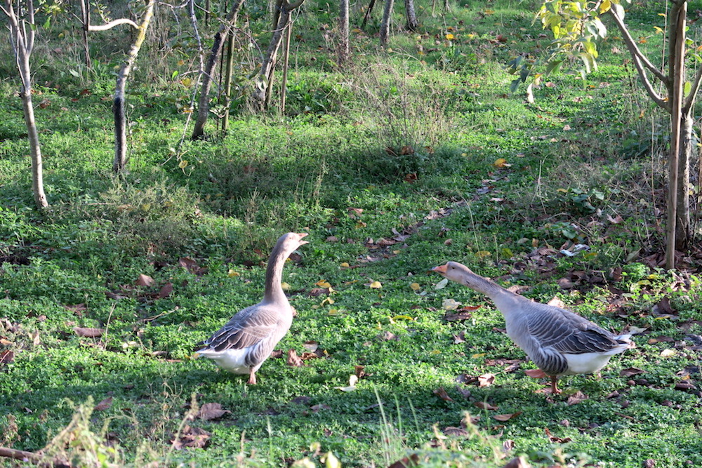 f0234936_82276.jpg