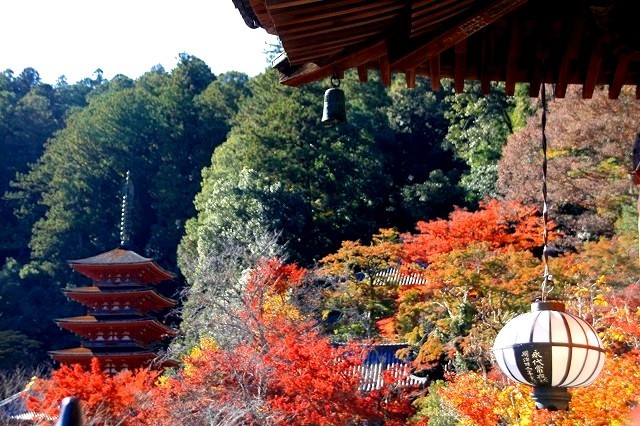 古都の紅葉 19 奈良 長谷寺 暮らしを紡ぐ2 古都の紅葉 19 奈良 長谷寺 暮らしを紡ぐ2