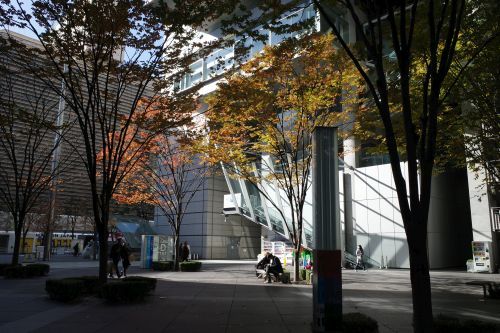 師走ですね_e0080345_16354327.jpg