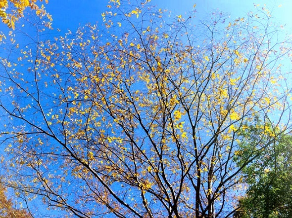 e0126350_18133650.jpg