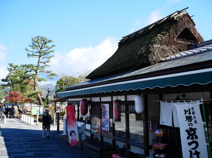 　　嵯峨・嵐山めぐり　２　　嵐山にて　　２０２４-１２-１０　００：００_b0093754_14420857.jpg
