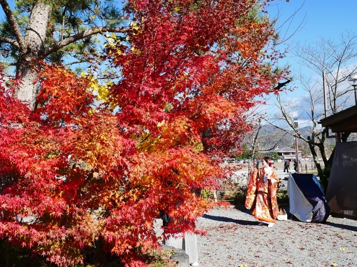 　　嵯峨・嵐山めぐり　２　　嵐山にて　　２０２４-１２-１０　００：００_b0093754_14423345.jpg
