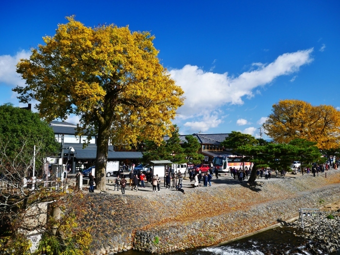 　　嵯峨・嵐山めぐり　２　　嵐山にて　　２０２４-１２-１０　００：００_b0093754_14432187.jpg