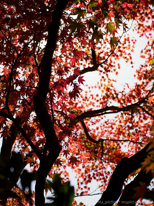 躊躇_e0097970_20255714.jpg