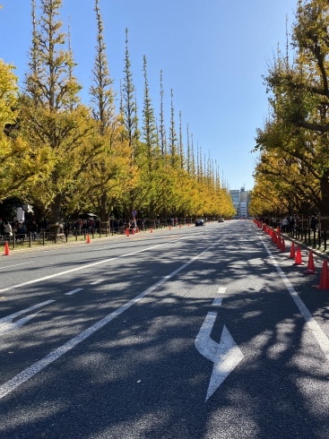 野球見てきた_b0199487_21371608.jpg