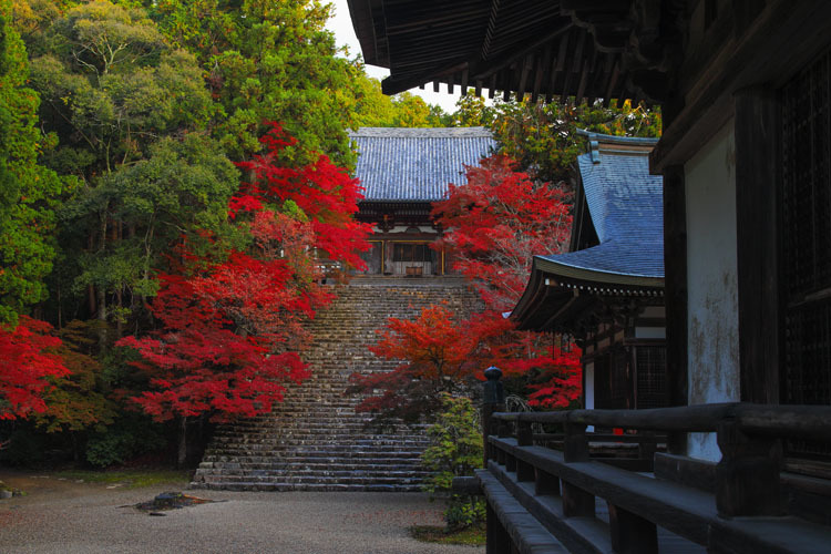 神護寺_e0051888_07532392.jpg
