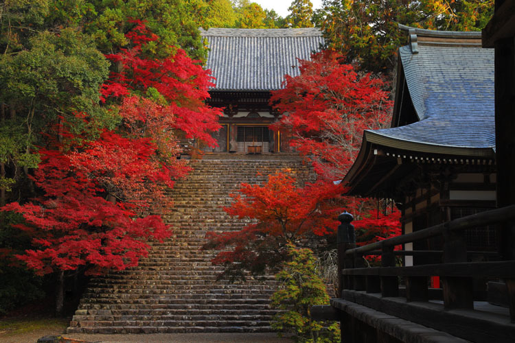 神護寺_e0051888_07534966.jpg