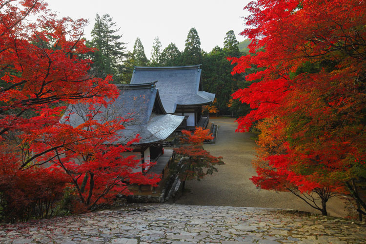 神護寺_e0051888_07545627.jpg