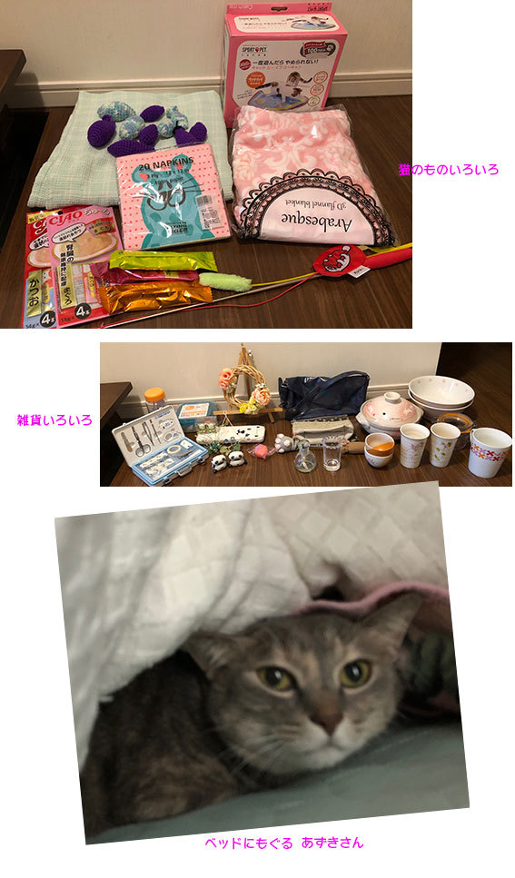 フリマ品ありがと〜!&大きな猫団子♬_d0071596_23154164.jpg