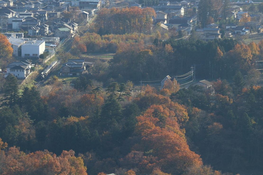 紅葉の帰り道 - 2019年紅葉・秩父鉄道 -_b0190710_22173847.jpg