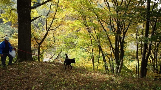 名犬ゆうご君の冥福を祈る_c0155326_18244902.jpg