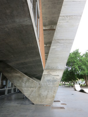 ブラジルの旅’19_e0097130_14253789.jpg