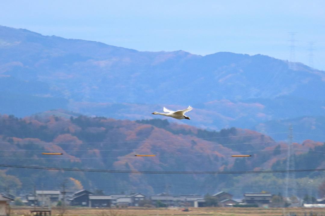 e0403850_17030797.jpg