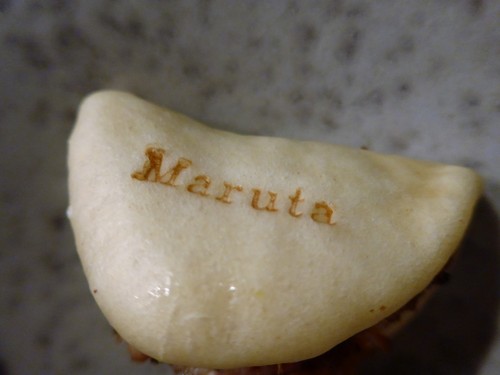 調布「maruta マルタ」へ行く。_f0232060_23503826.jpg