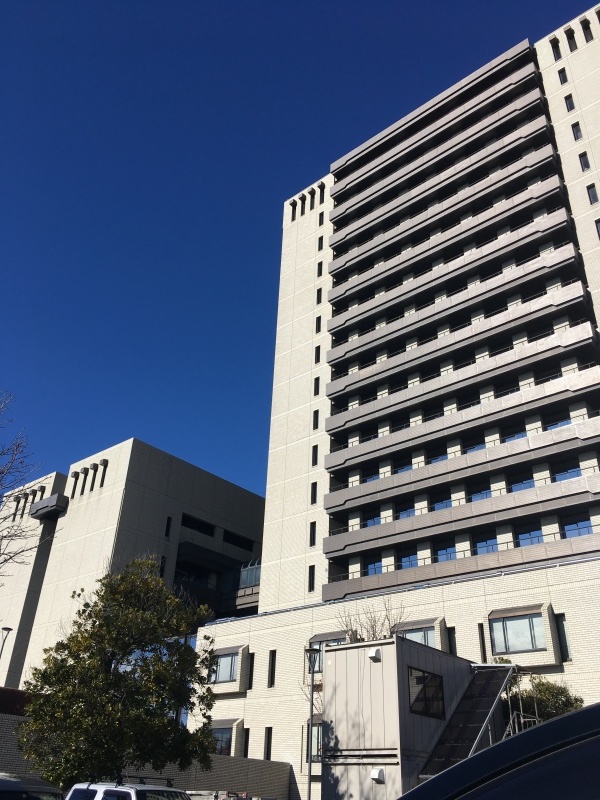 素材_a0129492_23460297.jpeg