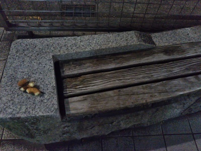 じっちゃんの名にかけて?_a0124393_14094862.jpg
