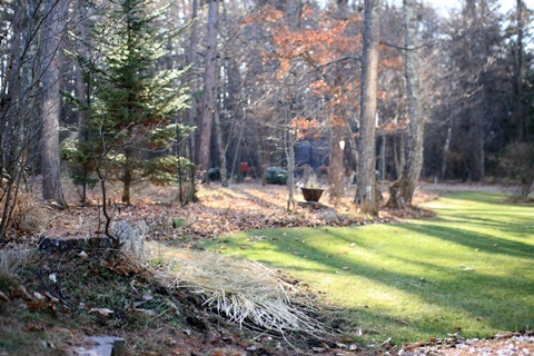 c0090198_19403876.jpg